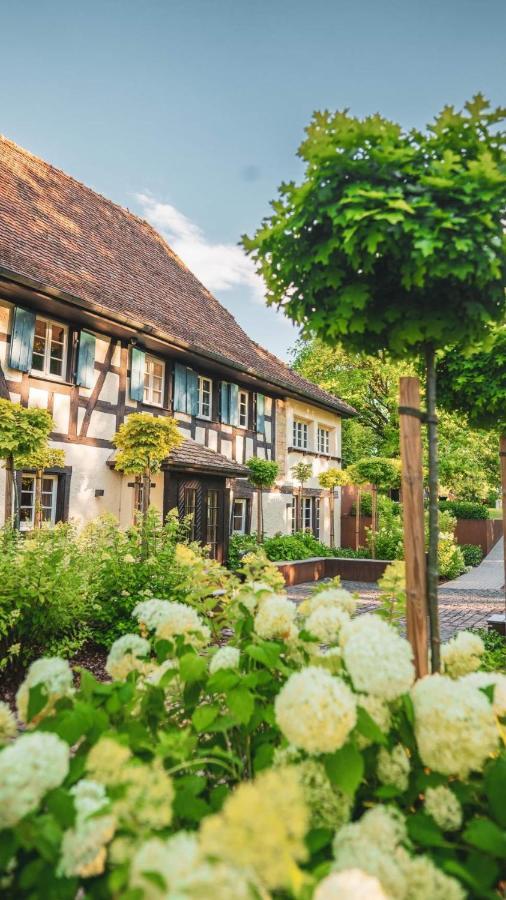 Domaine Du Kaegy - Hebergements 5 Etoiles Steinbrunn-le-Bas Екстериор снимка